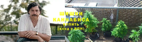 spice Бугульма